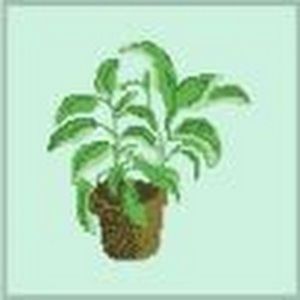 Meet your Posher, Micky